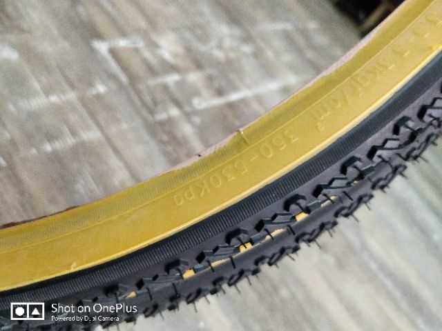 kenda cx tires