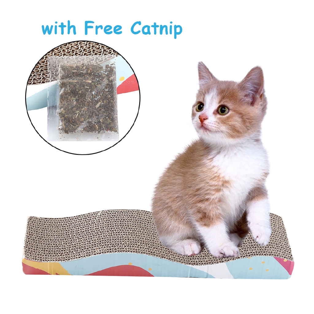 free kitten supplies