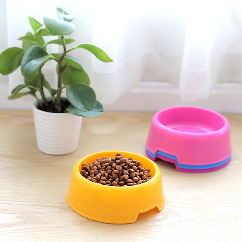 outdoor cat food bowl