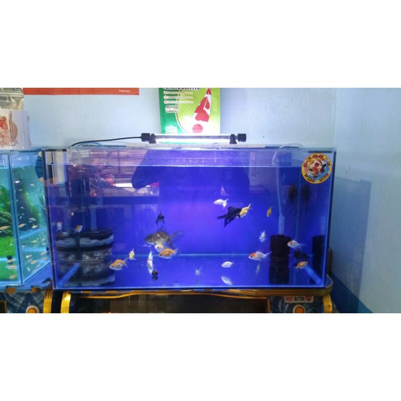 Aquarium Background Vinyl Sticker Shopee Philippines