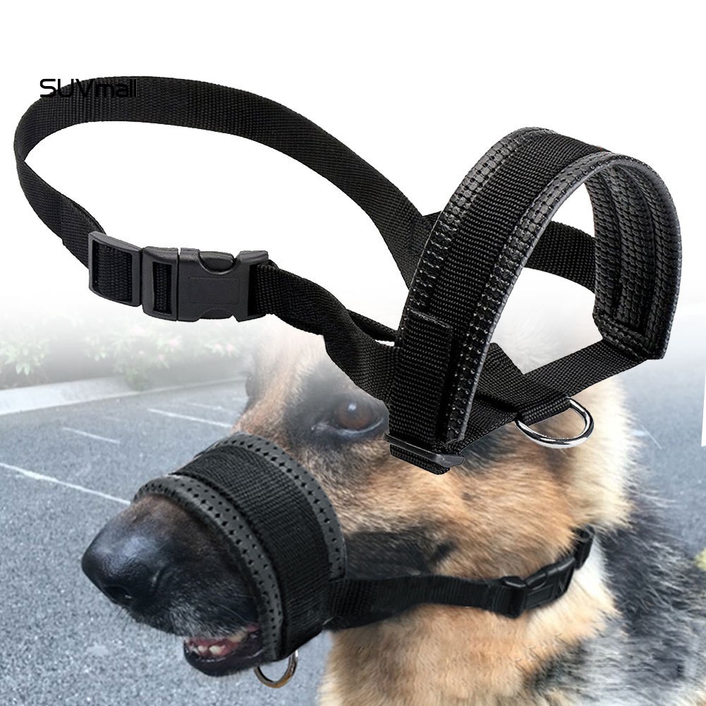 dog mouth strap