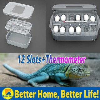 12 Slots Thermometer Hatch Box Snake Lizard Reptile Egg Tray Boxes Hatching Eggs Device