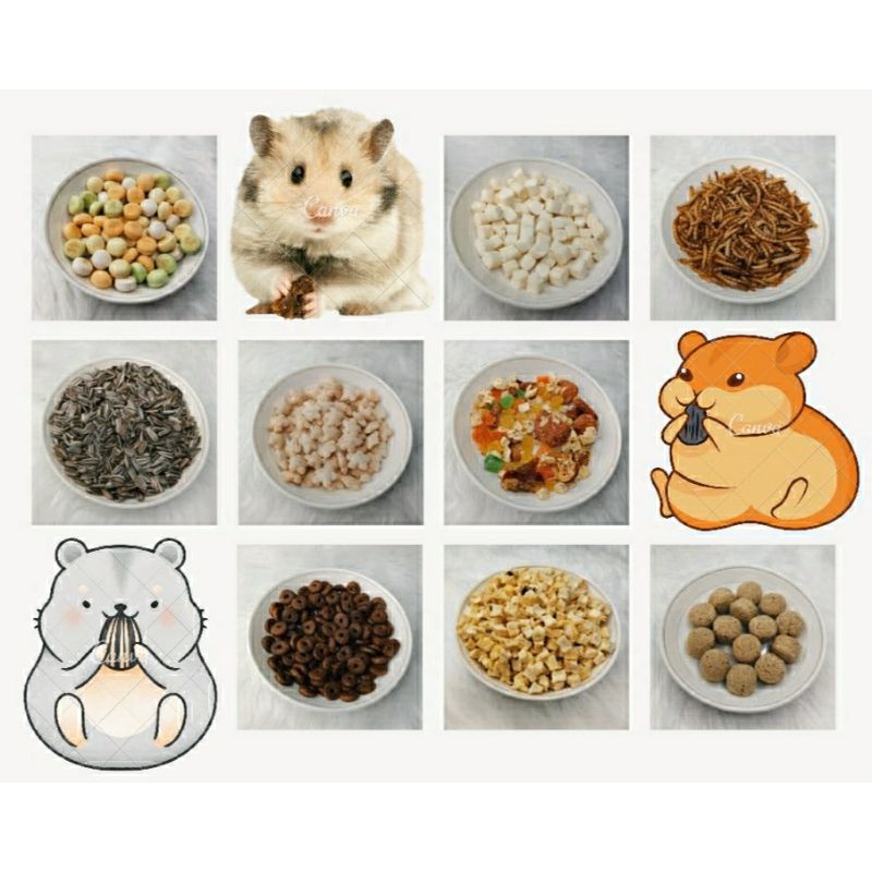 Budget pack Hamster Treats and Food 5-20grams | Shopee Philippines