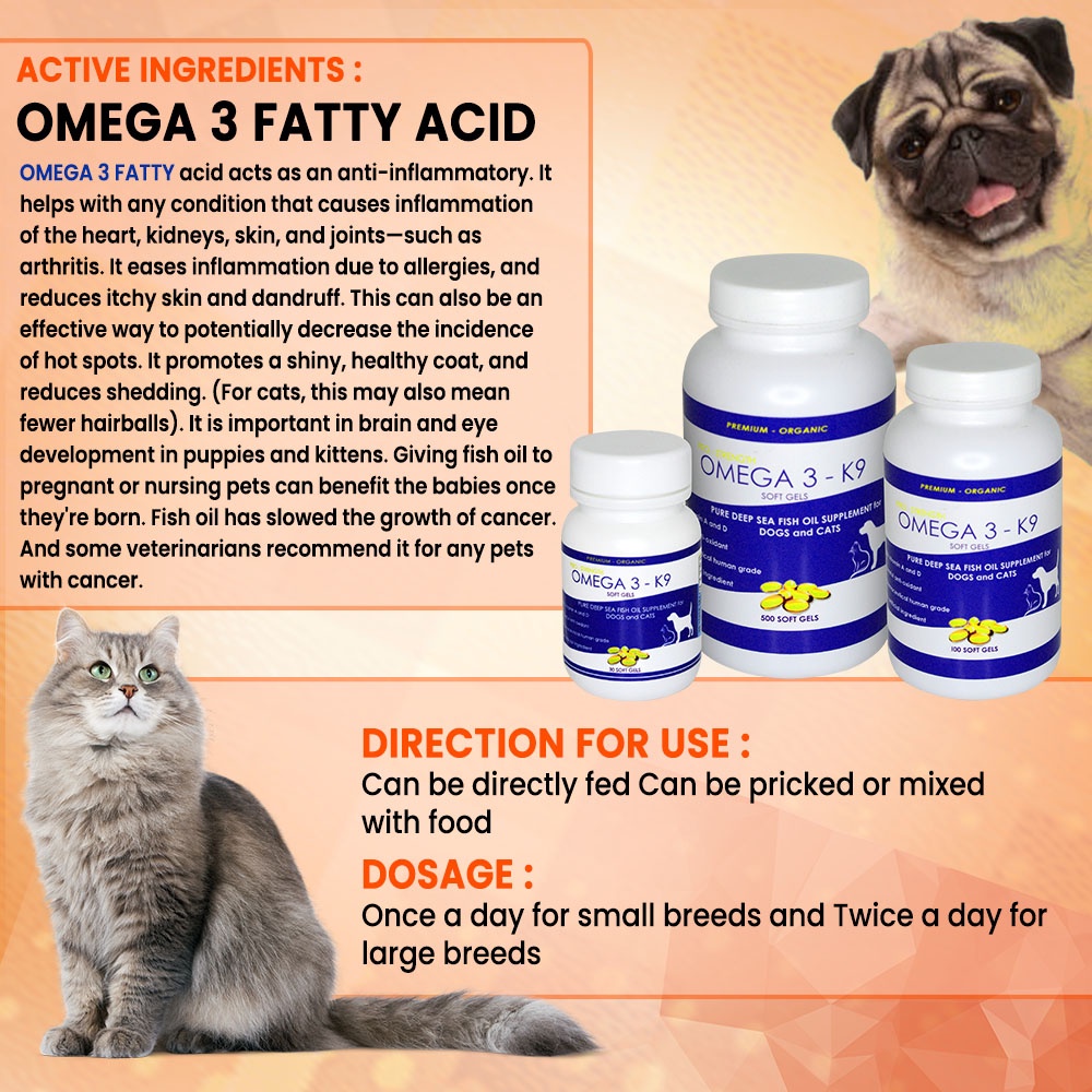 how much fish oil a day for dogs