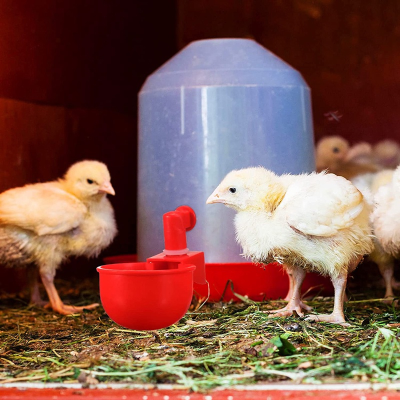 [R8]Chicken Watering Cup Automatic Filling Waterer Poultry Drinking Bowl Thread Watering Feeder Cup for Chicken #6