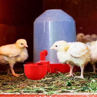 [R8]Chicken Watering Cup Automatic Filling Waterer Poultry Drinking Bowl Thread Watering Feeder Cup for Chicken #6