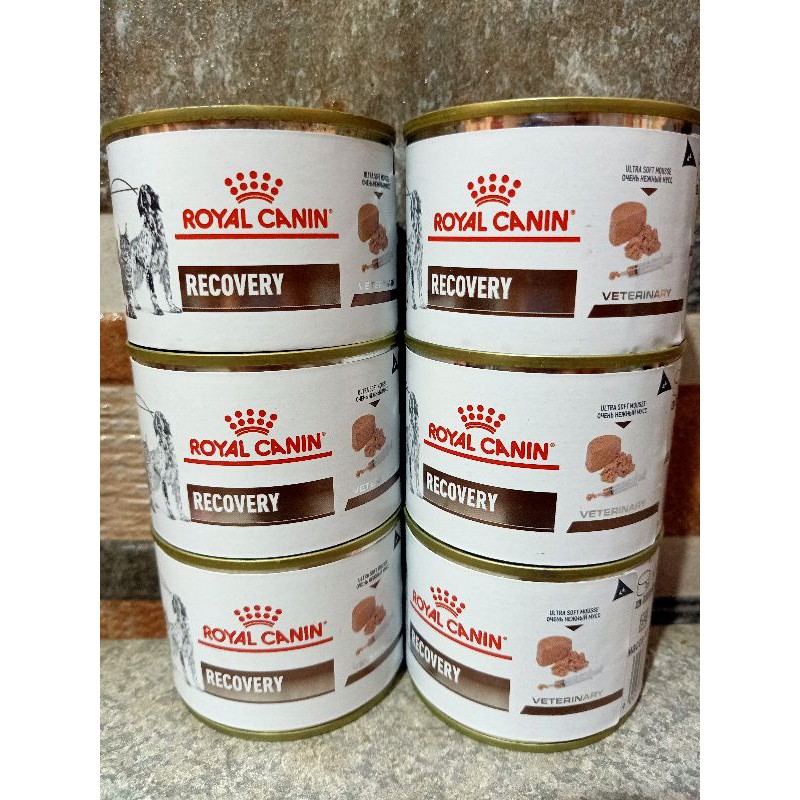 Recovery Royal Canin Canned food for dog and cat 195g (12 pcs pwr box