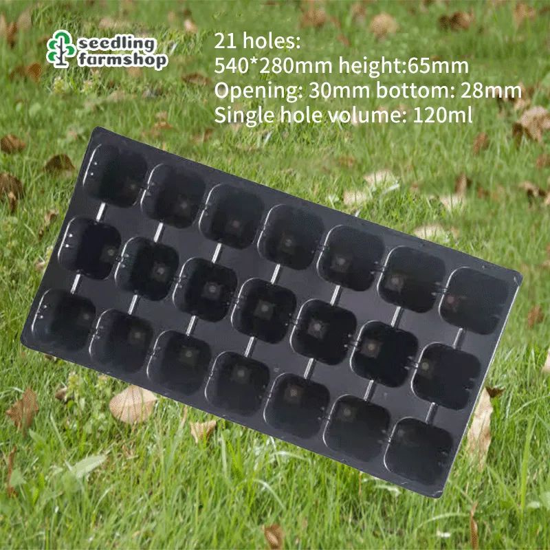10 Pieces 21 Holes Seedling Tray Shopee Philippines