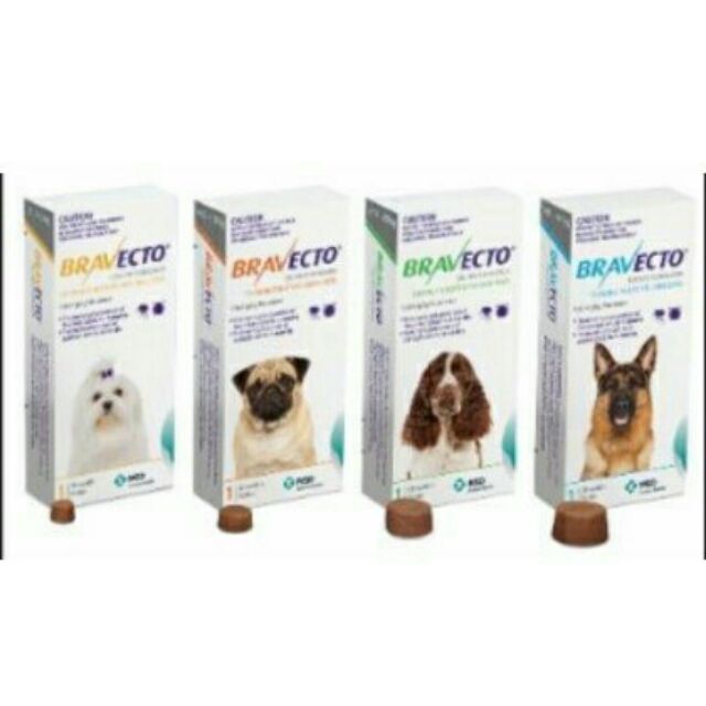 bravecto and mange