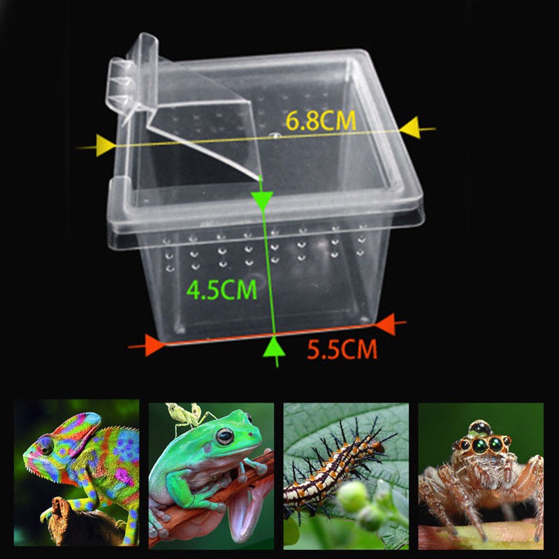 Reptile Turtle Lizard Snake Amphibian Frog Spider Box Habitat Box Case CLEAR