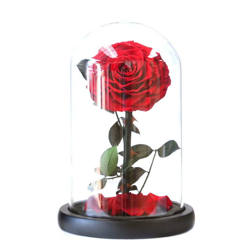 Red Preserved Rose In Glass Dome Preserved Roses With Gift Box Father S Day Gift For Dad High Quality Eternal Roses For Home Decor Shopee Philippines