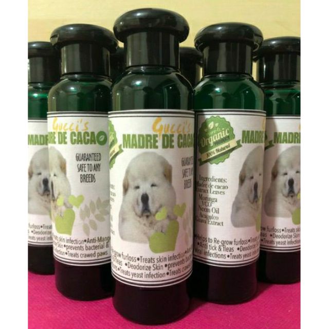 MADRE DE CACAO SHAMPOO 100ML Shopee Philippines