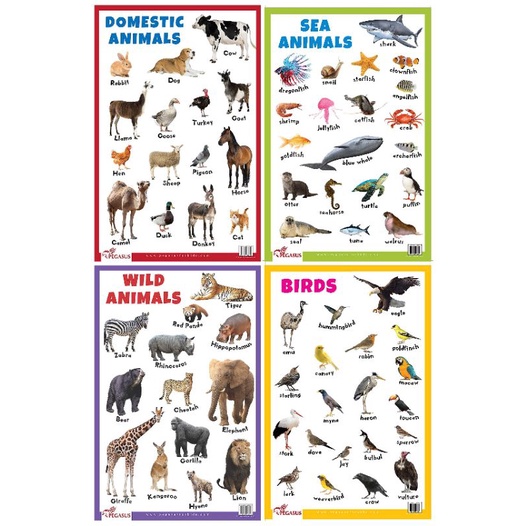 Animal chart/seaAnimal, domesticAnimal& wild animals | Shopee Philippines