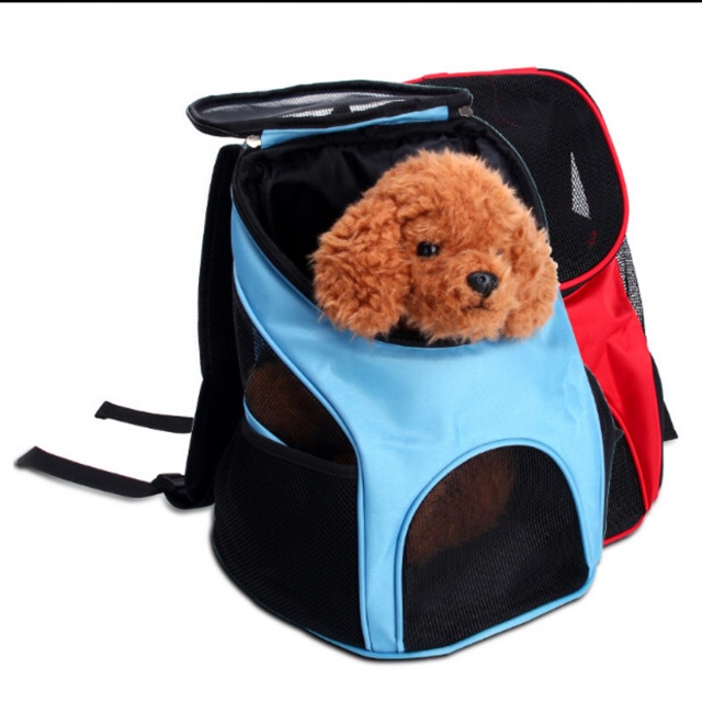 pet carrier shopee