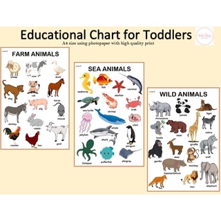 A4 LAMINATED EDUCATIONAL Wall Chart for Kids ALPHABET ABC CHART EDUCATIONAL CHART #4