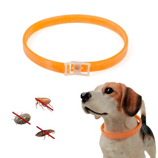 【Ready Stock】♂✥Pet Cat Dog Flea Collar Health Anti Lice Mosquitoes Collars