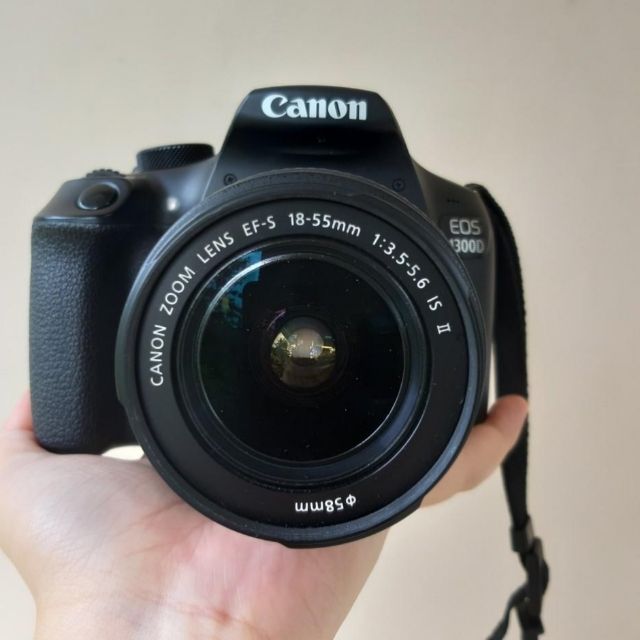 canon 1300d pixel