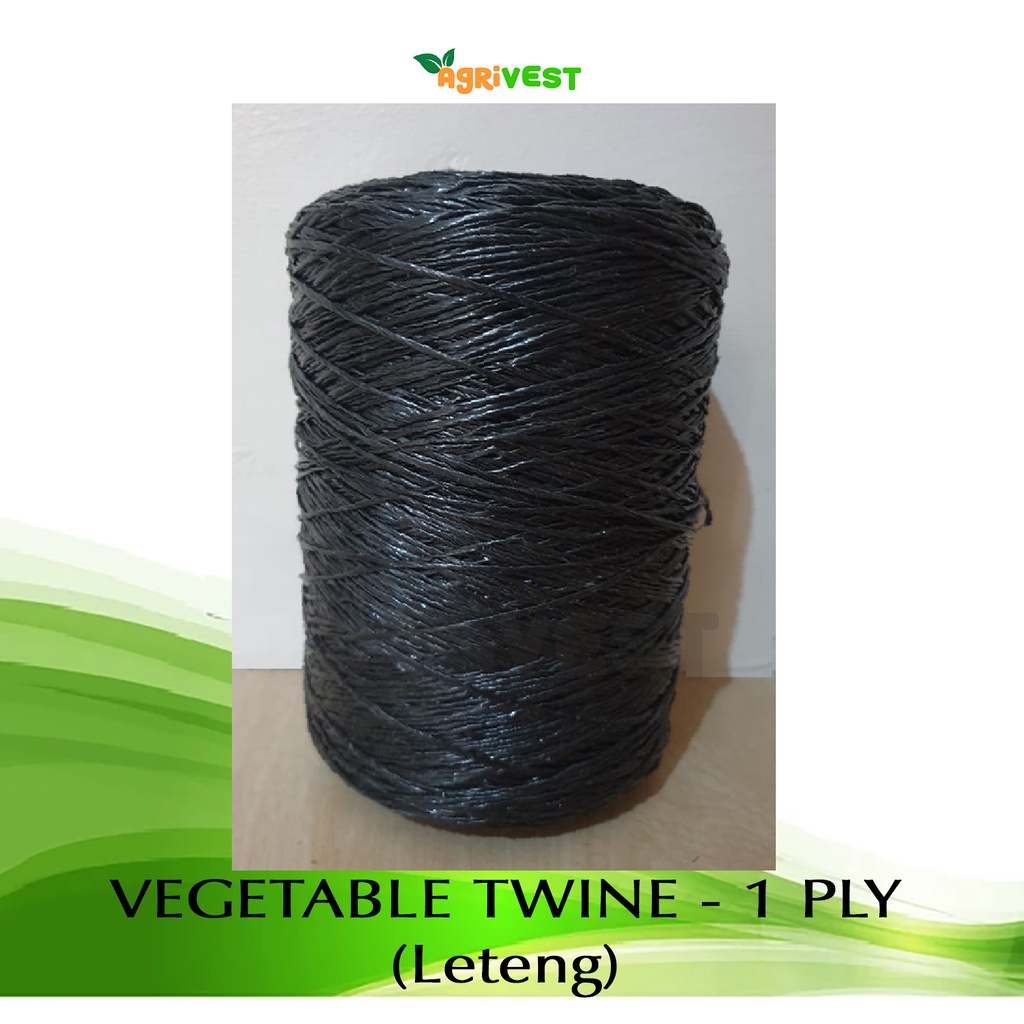 Vegetable Twine 1ply (LETENG) Shopee Philippines