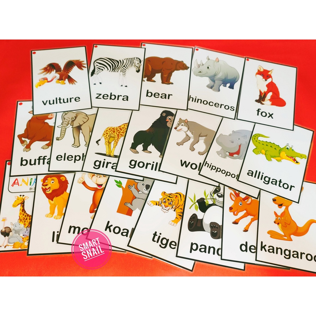 Laminated Flashcards WILD ANIMALS Shopee Philippines