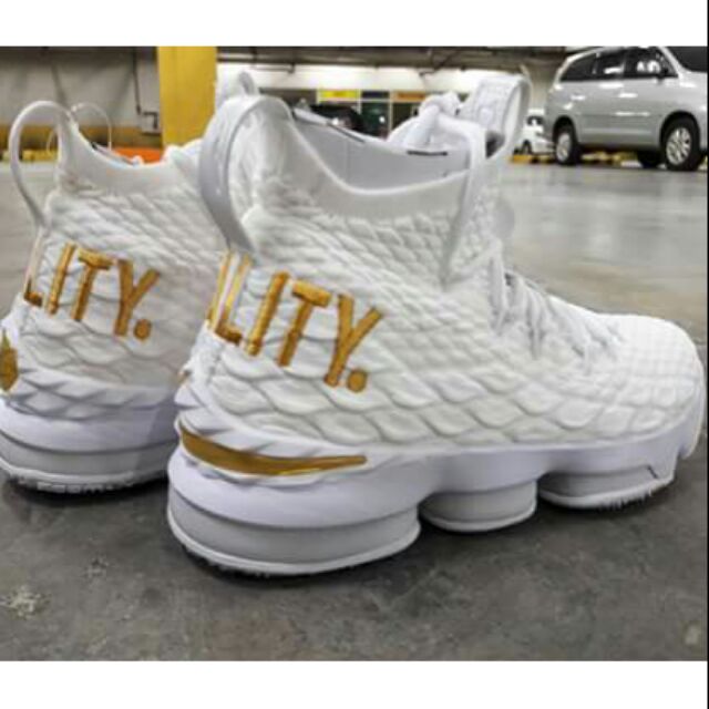 lebron equality 15