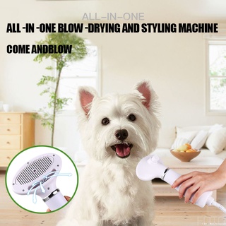2 in 1 Portable Pet Dryer Dog Hair Dryer & Comb Pet Grooming Cat Hair Comb Dog Fur Blower Low Noise #1
