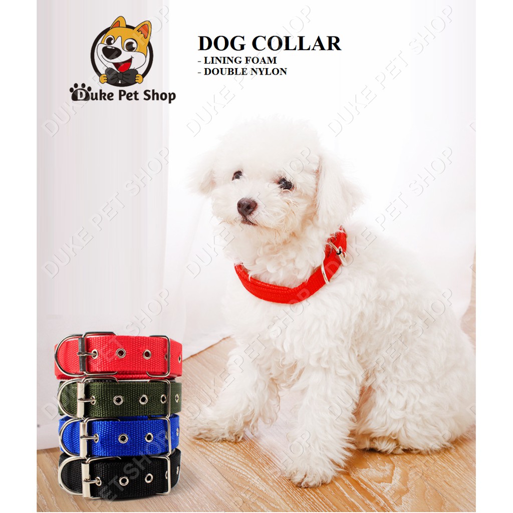 Dog Collars big dogs Collars Color Foam Pet Collars for big dog