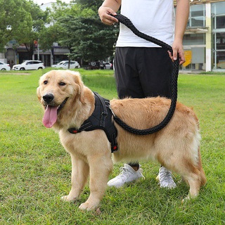 Dog Walking Hand Holding Rope Vest-Style Adjustable Chest Back Large, Medium And Small Dogs Dog Leash Golden Retriever Labrador Pet Supplies Dog traction rope dog chain pet supplies