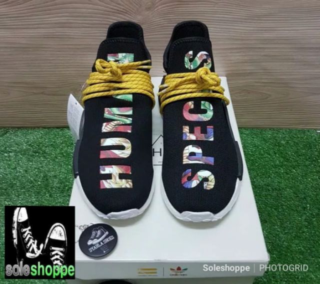 human race dragon ball