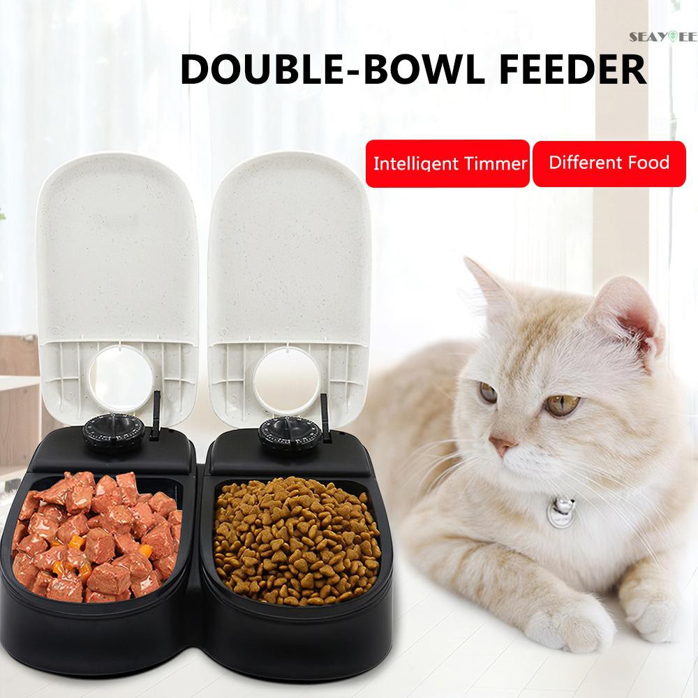 cat food timer feeder