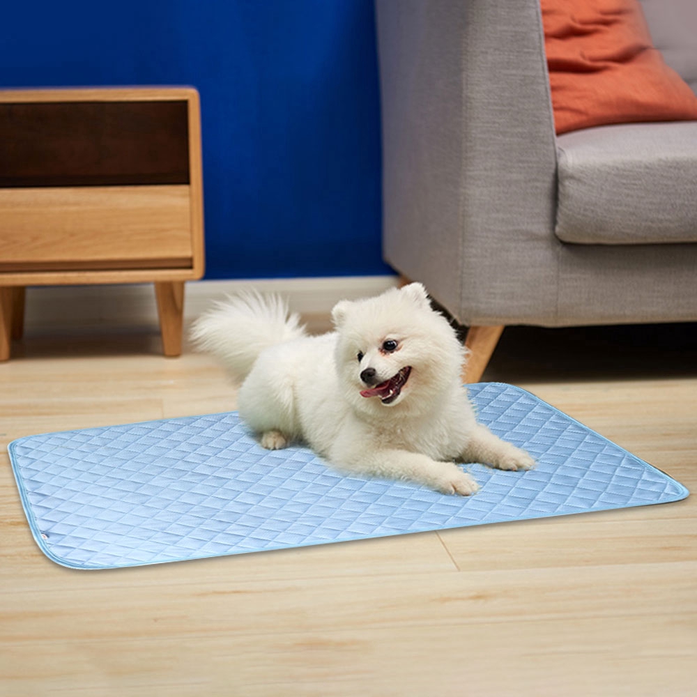 all for paws cooling mat