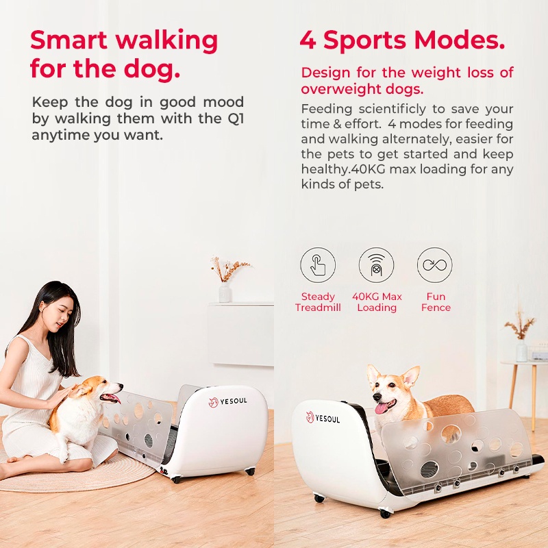 Xiaomi YESOUL Q1 Pet Dog Cat Kitten Puppy Indoor Treadmill w/ a Smart Feeder (dog and cat toys） #8