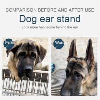 Dog Ear Care Tools Ear Stand Up Corrector For Doberman Pinscher Pet Dog Lifter Safety Fixed #3
