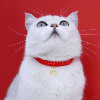 Pet Red Rope Woven Adjustable Collar Pet Collar #9