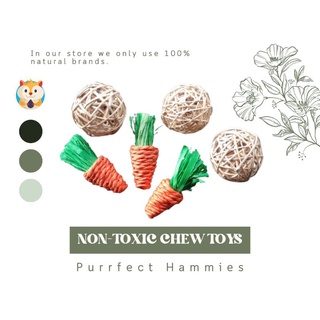 Rattan Balls & Carrots Chew | Hamster Rabbit Guinea Birds Hedgehog Gerbils | Chew Toys | 1pc.
