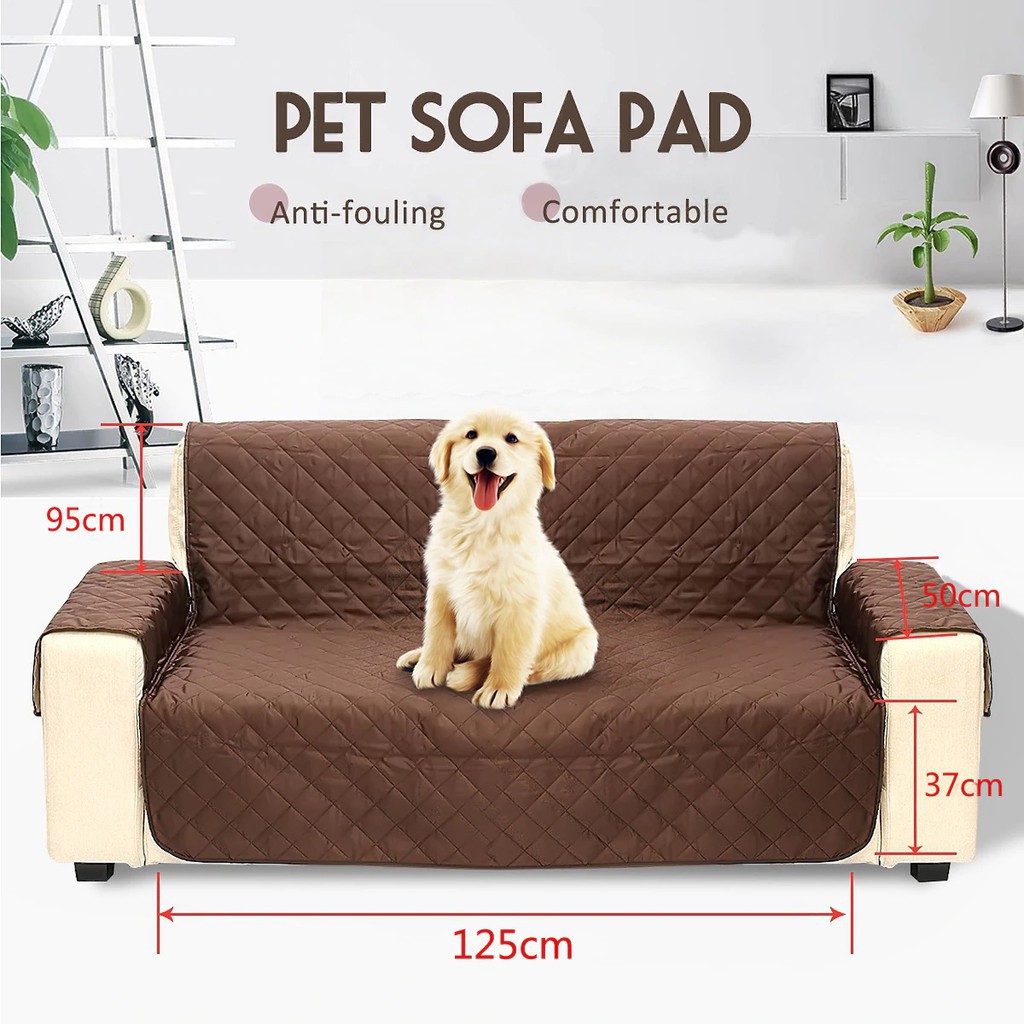 Best Sofa Material For Dogs And Cats | Baci Living Room