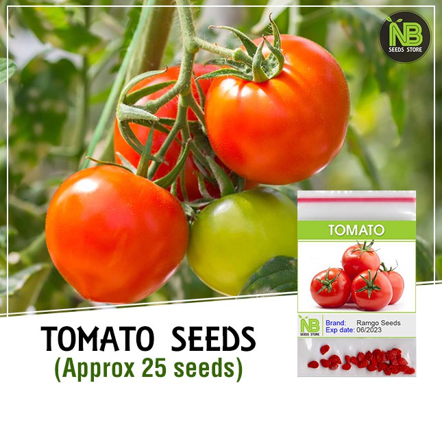 Tomato Kamatis Seeds Approx 25 Seeds Shopee Philippines 9889