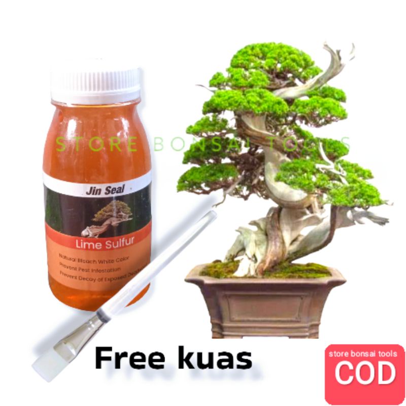 Lime jin, lime sulfur bonsai Whitening Stem 100ml Shopee Philippines