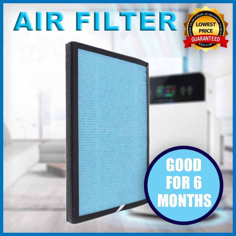 Replacement HEPA filter for Air Purifier (Good for 6 Months) 26cm x 3cm ...