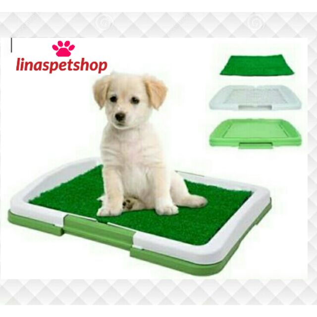 Potty Pad Puppy Training Seat Tray Dogs Toilet Mat Shopee Philippines