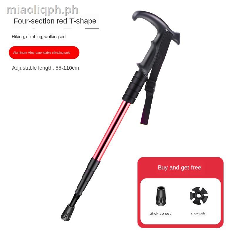extendable hiking stick