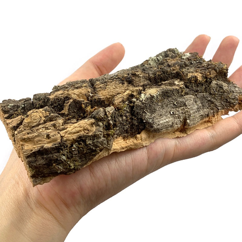 Cork Bark Hide for Isopods - Reptiles Exotic Pets Terrariums | Shopee ...