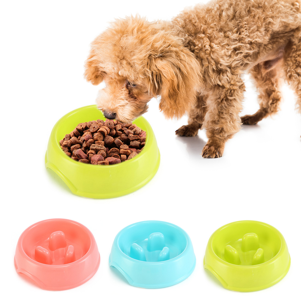 cat feeding plate