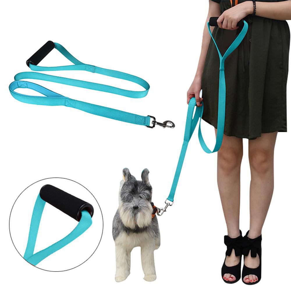 the dog leash