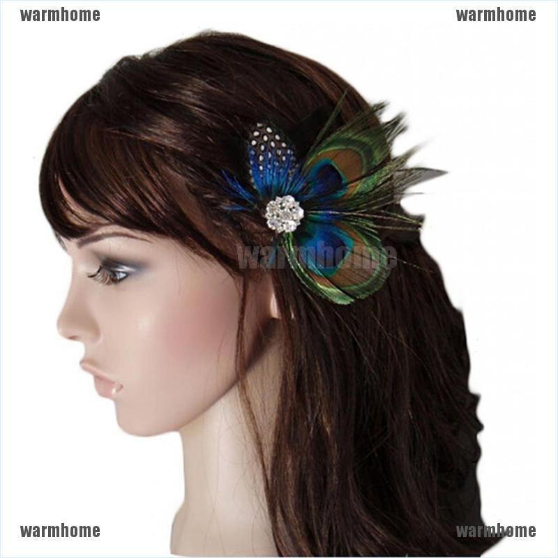 Hair Clips Peacock Feather Hair Clip 