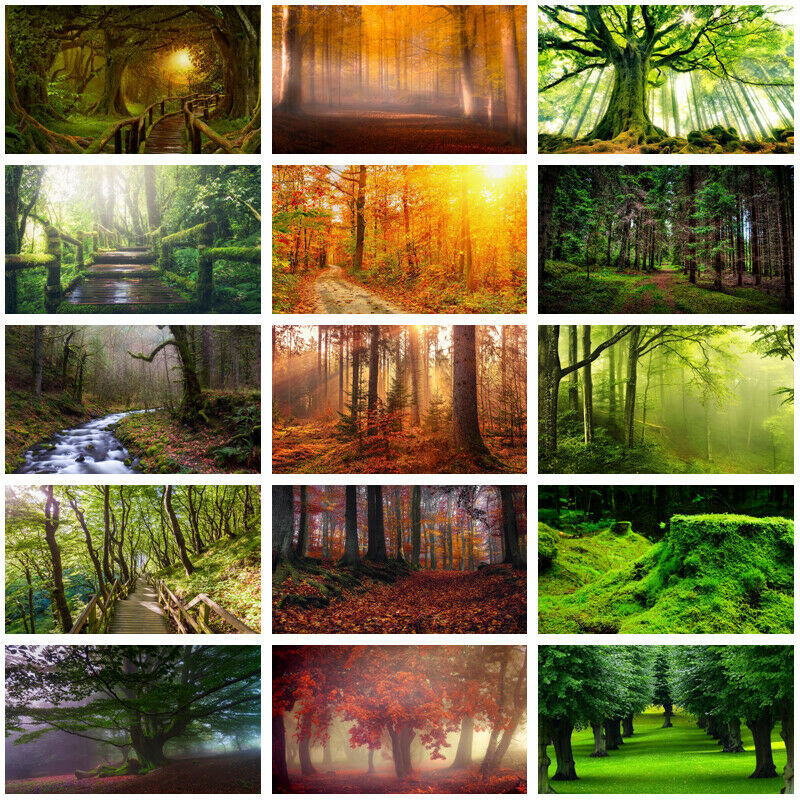 Forest Scenery Trees Background Cloth Studio Photography Backdrop Print