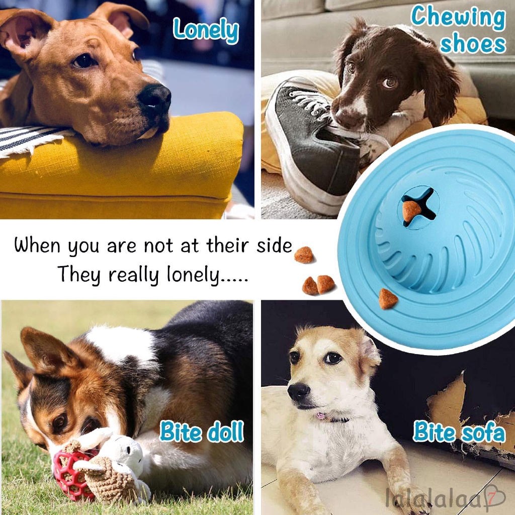 dog iq toys