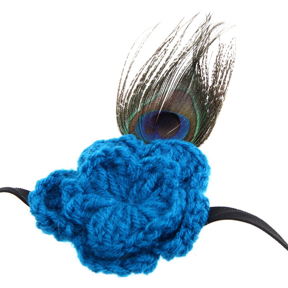 newborn peacock costume