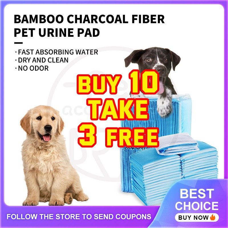 Will Cats Pee Where Dogs Pee