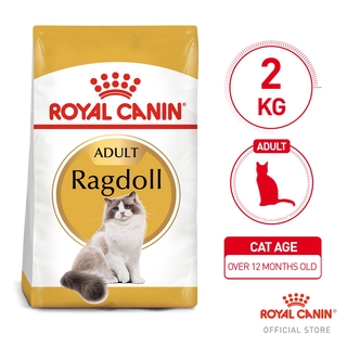 royal canin ragdoll 10kg