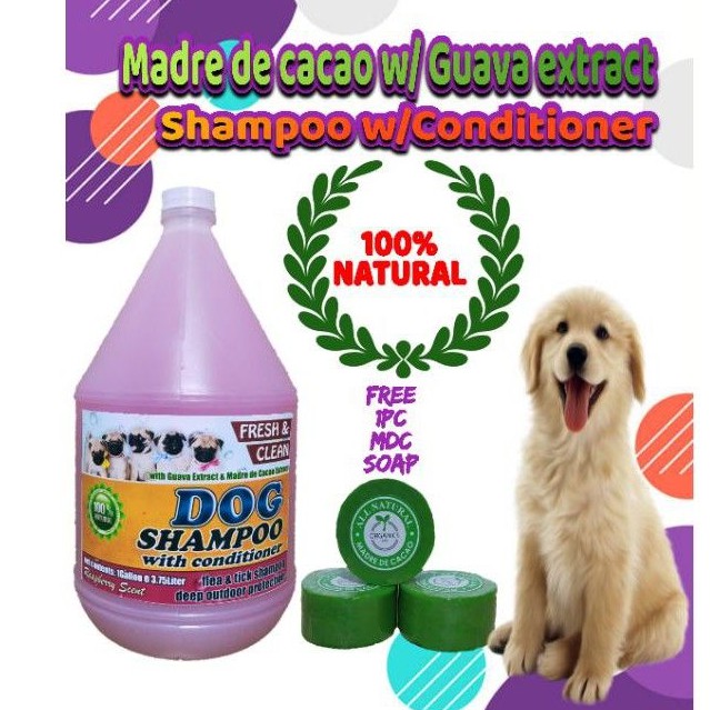 Madre de cacao Cat/Dog shampoo with conditioner and guava extract 3